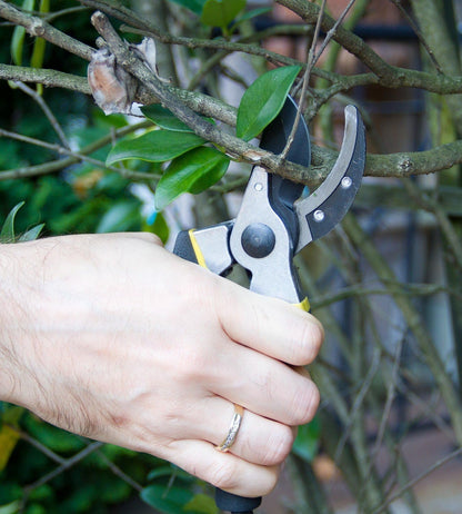 Astorn Premium Bypass Pruning Shears for Gardening - Heavy Duty, Ultra Sharp Garden Shears w/Ergonomic Soft Grip Handle - Made with High Grade Carbon Steel - Ideal for Cutting, Gardening and Trimming