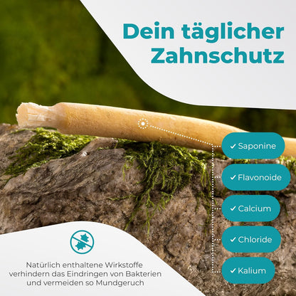 Miswak Toothbrush by Blissany- Traditional Arabic Toothbrush, Wooden Toothbrush, Natural White Toothbrush, 5pcs