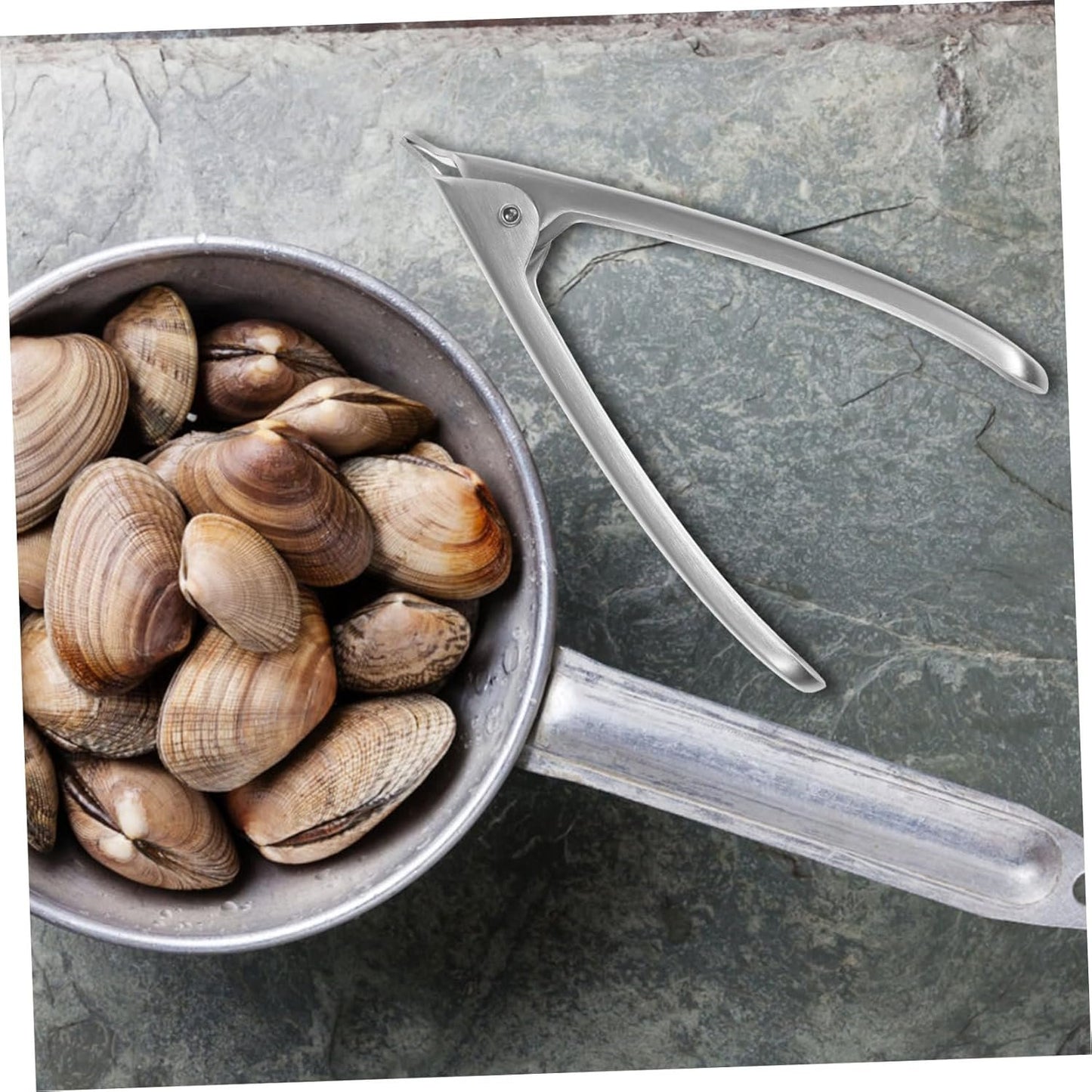 Zerodeko 1 Pz Apriostriche Utensili per di Mare Apriostriche Morsetto in Acciaio Inox Gadget da Cucina