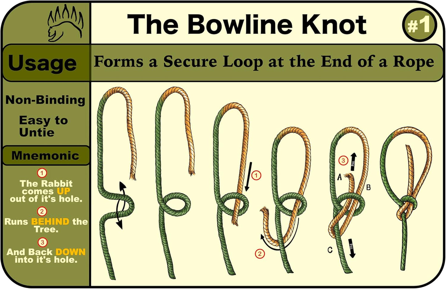 Knot Tying Kit | Camping & Outdoor Knots Edition - by The Bear Essentials Outdoors with Waterproof Knot Cards | for Survival, Camping, Backpacking, Hiking & Scouts