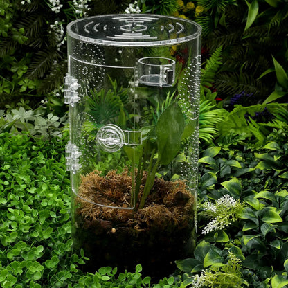 Tarantula Food Bowl Water Dish, Jumping Spider Feeding Dish, Enclosure Accessories, Feeder for Insect, Praying, Mantis Habitat, Butterfly, Bug