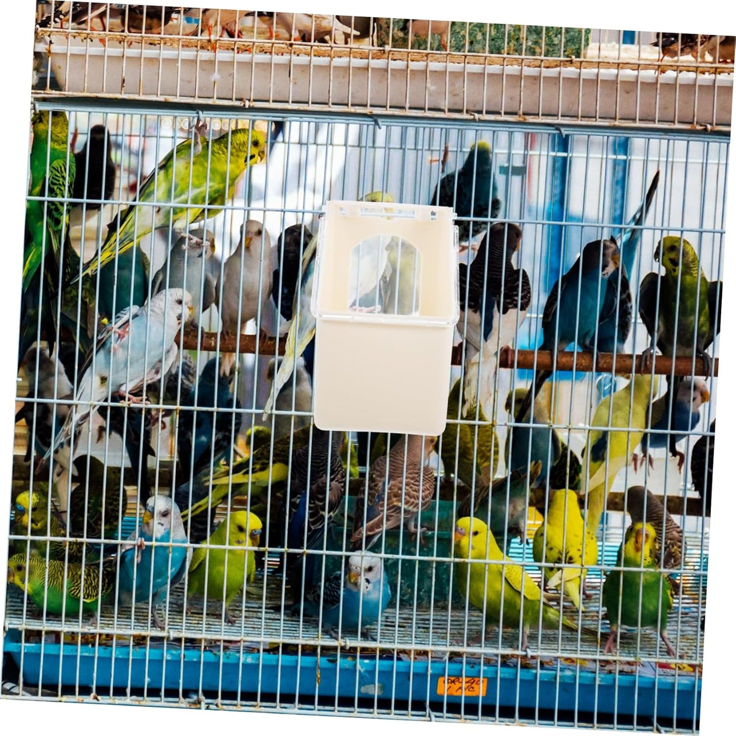 BESPORTBLE 4Pcs Pigeon Hanging Feeder with Protective Lid Durable Multi Functional Feeding and Watering for Pigeons for Daily Use Pigeon Loft Backyard