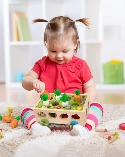 Coogam Montessori Fine Motor Toys for Baby Toddler, Wooden Shape Sorter Carrot Harvest Game, Preschool Learning Educational Gift Toy for 2 3 4 Year Old