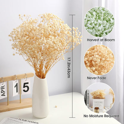 MIHUAGE Dried Baby’s Breath Flowers,17.5" 120g 3000 Ivory100% Natural Beige White Bundles with stem Gypsophila for Home Decorations Wedding DIY Arrangements Table Vase Decor.