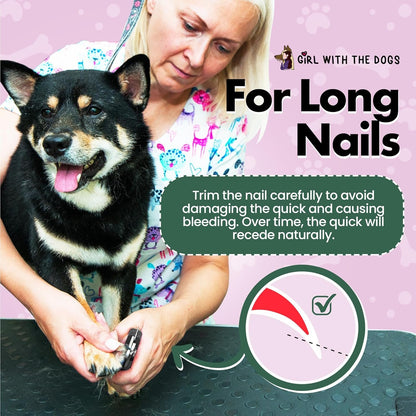 Pet Nail Trimmer - Nail Clippers for Grooming and Claw Care for Small & Large Dogs - Nail Trimmer (Small)