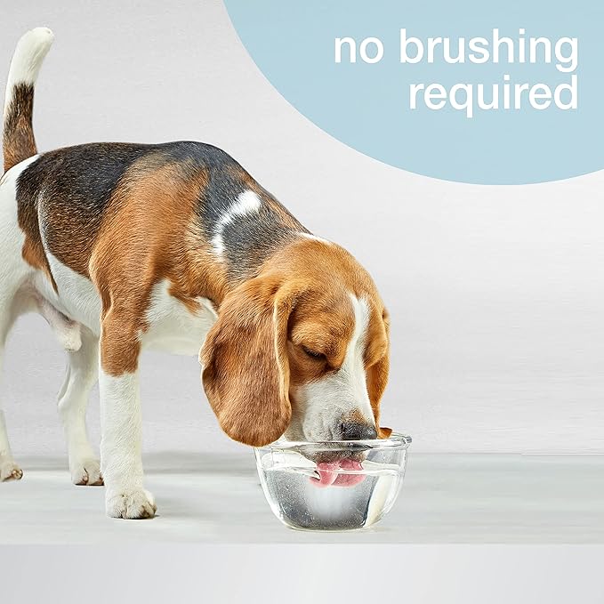 Nylabone Advanced Oral Care Pet Dental Water Additive, Liquid Tartar Remover & Breath Freshener for Dogs, Dog Teeth-Cleaning, Original Flavor, 32 oz.