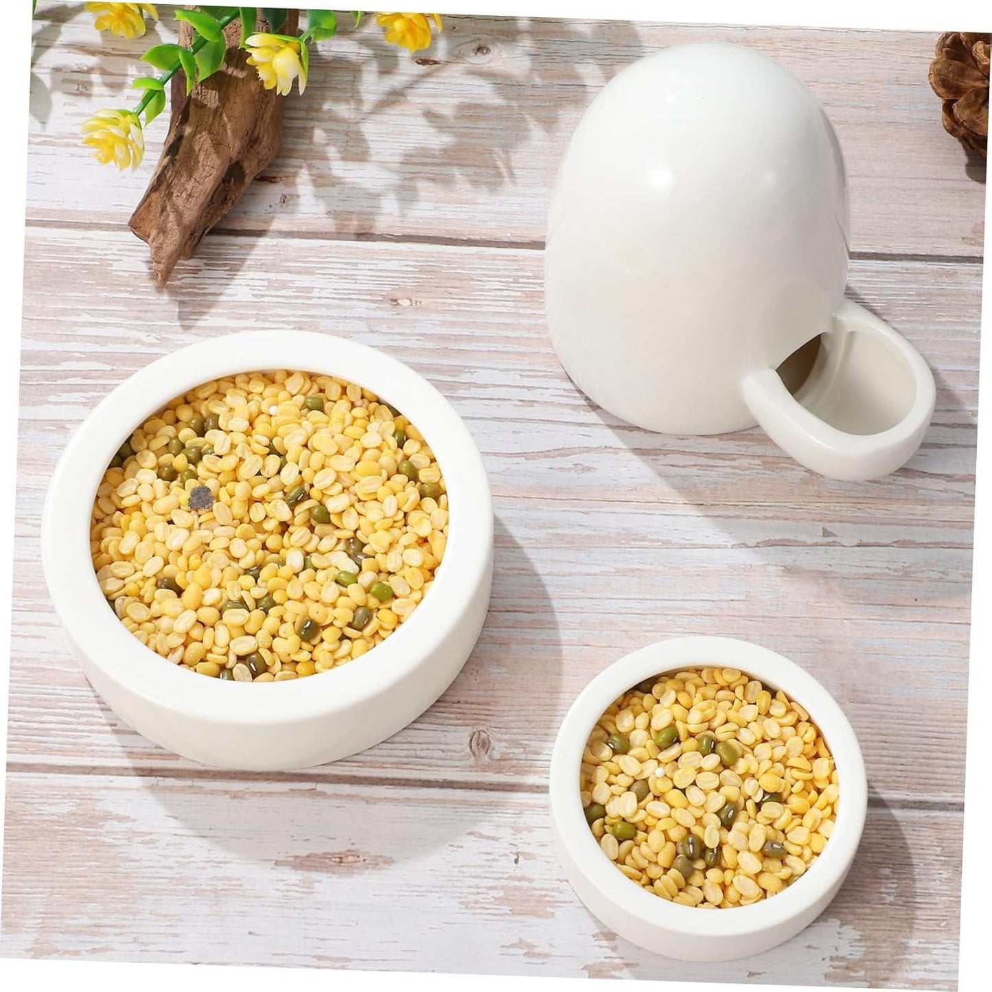 ERINGOGO 3Pcs Small Animal Feeding and Watering Set Durable Food Feeder Water Bottle for Hedgehog