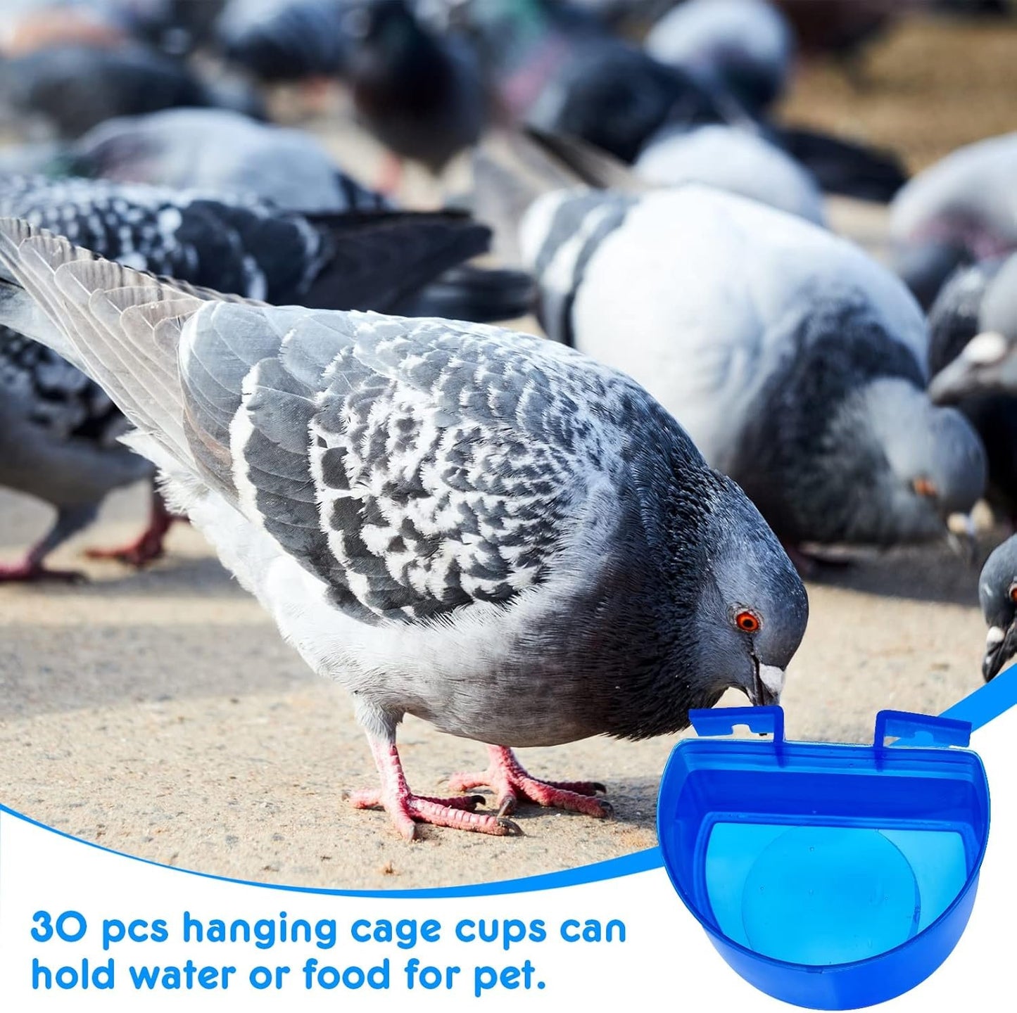 Suclain 30 Pcs Blue Cage Feeders Birds Cage Cups Plastic Hanging Feeding Cups Seed Bowl Chicken Feeding Watering Dish with Hooks for Pet Parrot