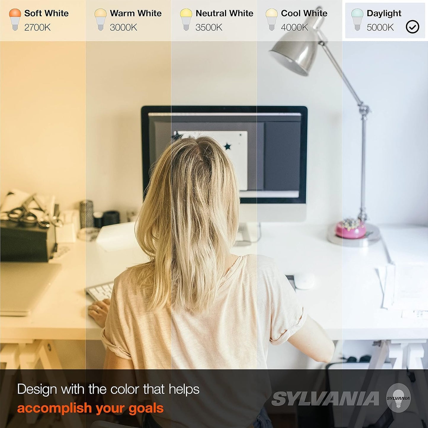 Sylvania Home Lighting 74766 60W Equivalent, LED Bulb, A19 Lamp, Efficient 8.5W, Bright White 5000K, 24 Pack, Piece