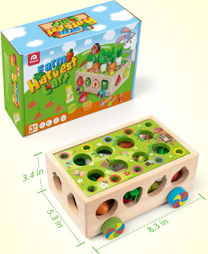 Coogam Montessori Fine Motor Toys for Baby Toddler, Wooden Shape Sorter Carrot Harvest Game, Preschool Learning Educational Gift Toy for 2 3 4 Year Old