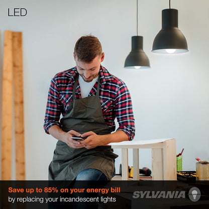 Sylvania Home Lighting 74766 60W Equivalent, LED Bulb, A19 Lamp, Efficient 8.5W, Bright White 5000K, 24 Pack, Piece