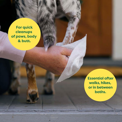 Earth Rated (A Canadian Company) Dog Grooming Wipes, Hypoallergenic, Cleaning and Hydrating, for Paws, Body and Butt, Lavender Scented, 400 Count
