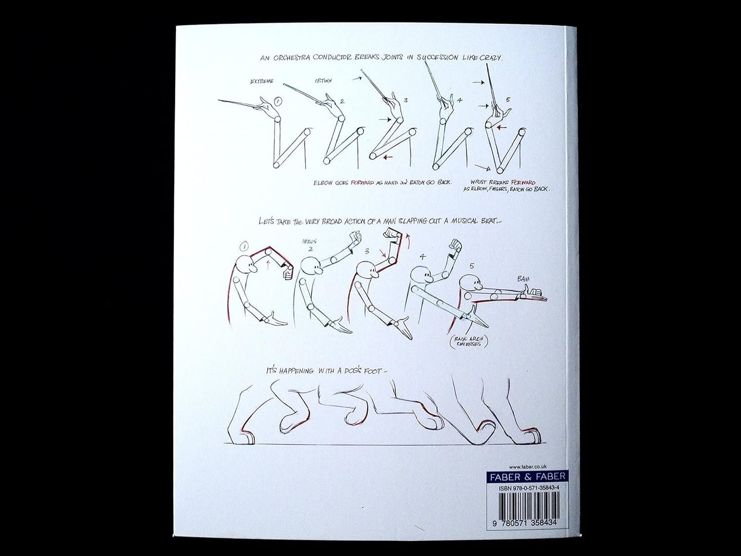 The Animator's Survival Kit: Flexibility and Weight: (Richard Williams' Animation Shorts)