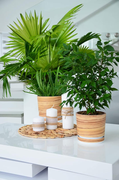 KORAD Flower Pot with Integrated Coaster - Decoration 047 - Bamboo Diameter 12 cm - High Quality Plastic Plant Pot - Decorative Plant Pot with Drainage Holes
