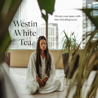 Westin White Tea Home Diffuser - Scent Machine with Refill Cartridge - Air fresheners for Home - Signature White Tea Scent