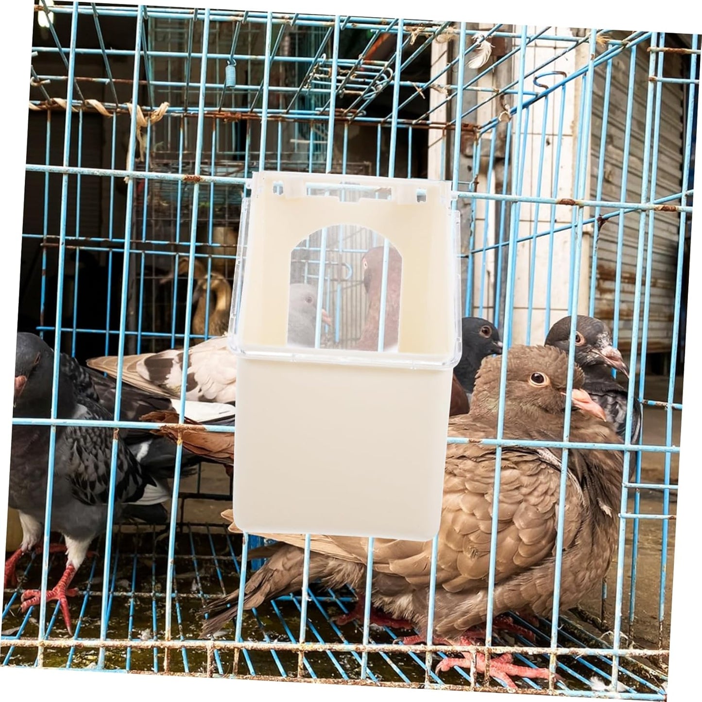 BESPORTBLE 4Pcs Pigeon Hanging Feeder with Protective Lid Durable Multi Functional Feeding and Watering for Pigeons for Daily Use Pigeon Loft Backyard