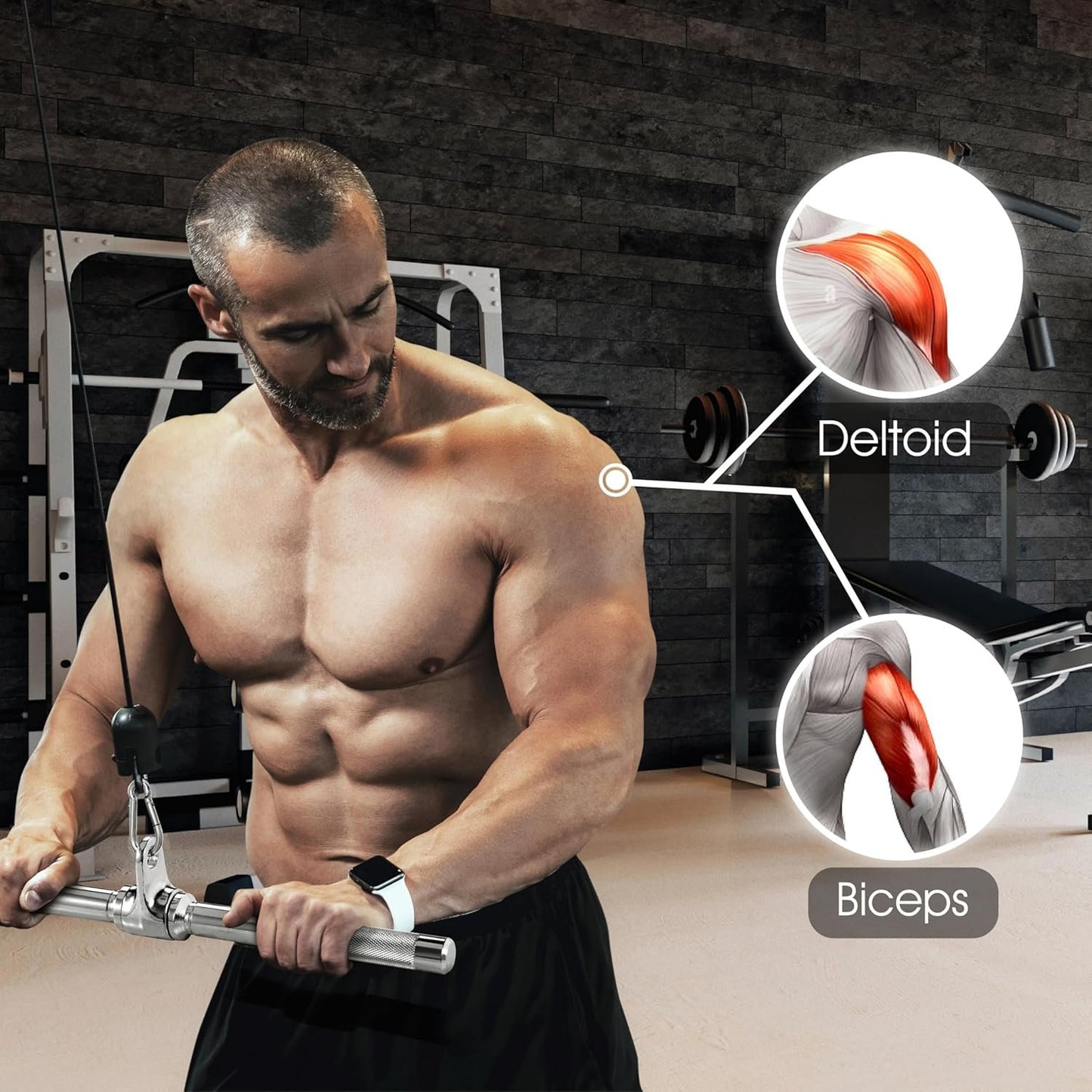 Yes4All Triceps Pull Down Attachment, Cable Machine Accessories for Home Gym, LAT Pull Down Attachment Weight Fitness, Cable Machine Attachment Set - Triceps Rope, LAT Pull Down Bar, V-Bar, Double D