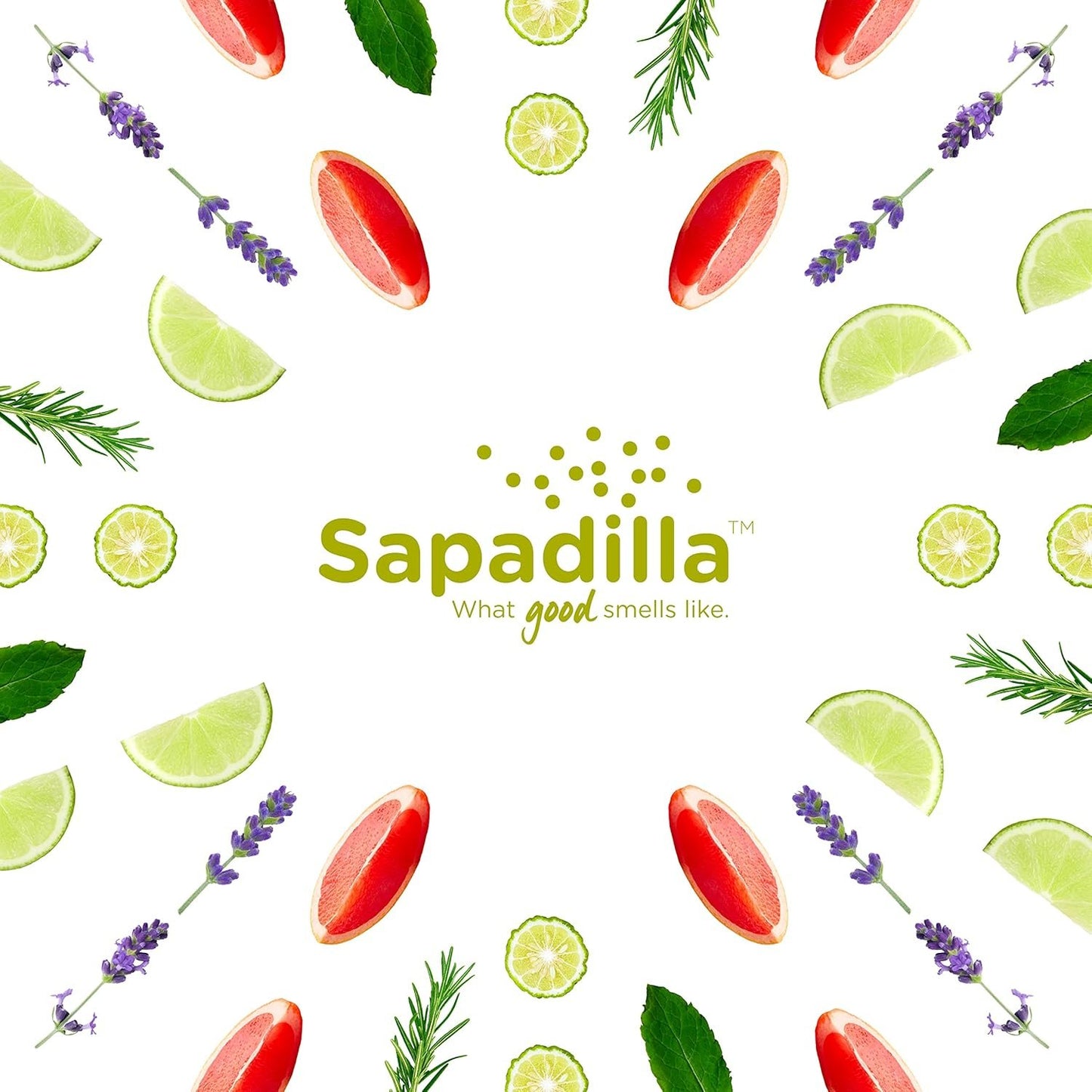 Sapadilla Grapefruit + Bergamot Biodegradable Liquid Dish Soap, 16 Ounce, (Pack of 3)