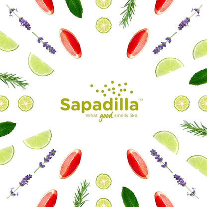 Sapadilla Grapefruit + Bergamot Biodegradable Liquid Dish Soap, 16 Ounce, (Pack of 3)