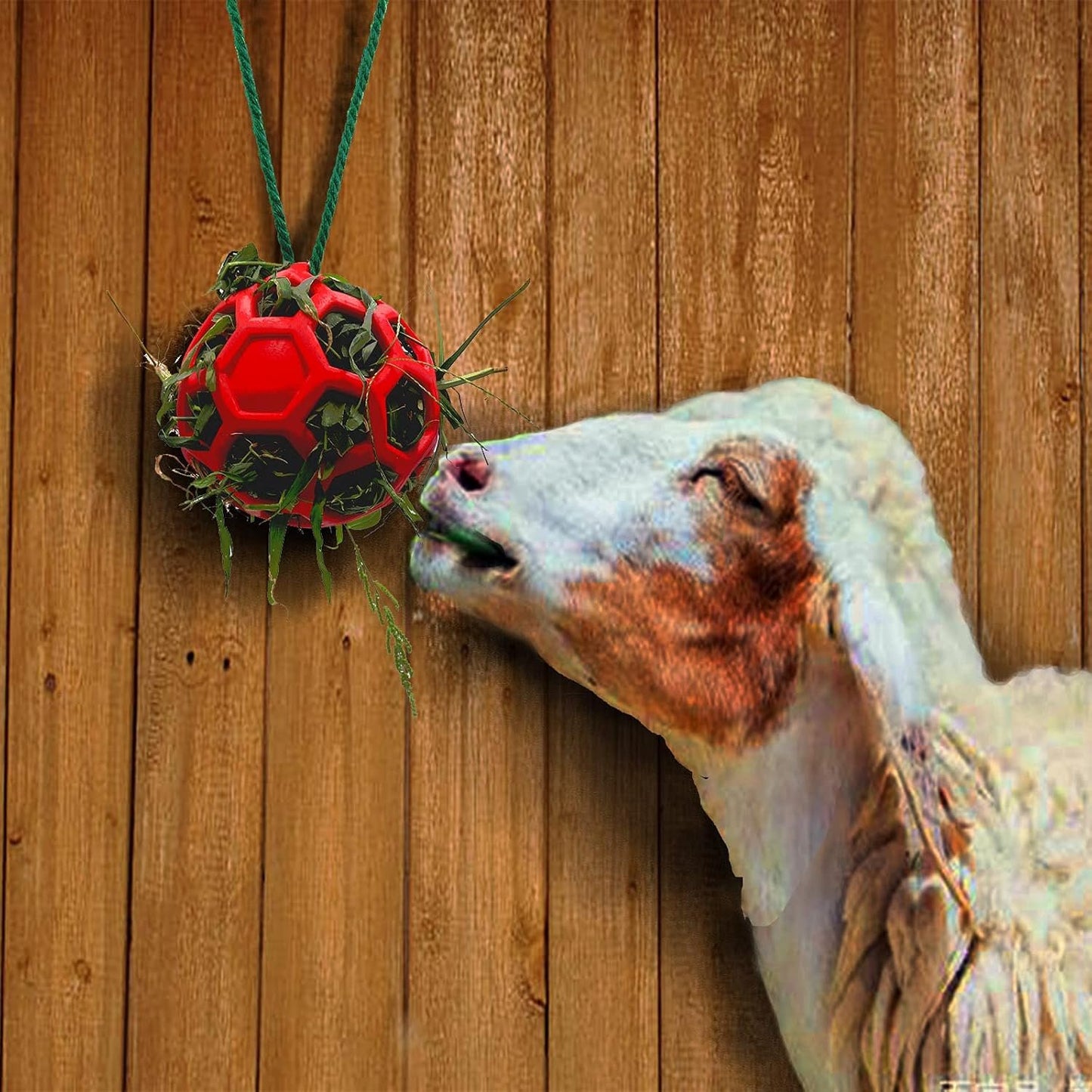 Besimple 2 Pack Horse Treat Ball Hay Feeder Toy, Goat Feeder Ball Hanging Feeding Toy for Horse Goat Sheep Relieve Stress(Red)