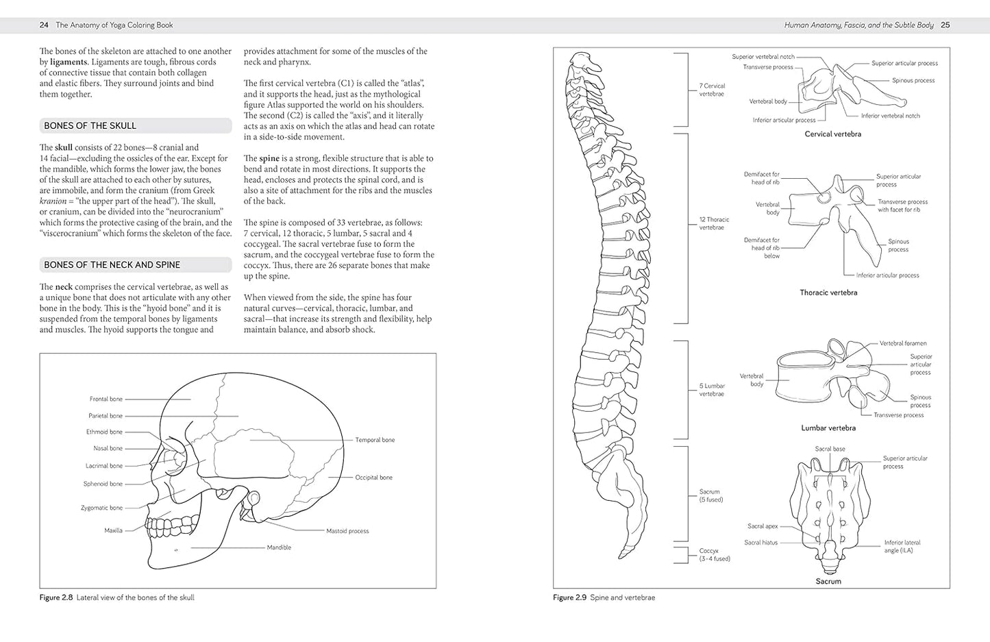 The Anatomy of Yoga Coloring Book: Learn the Form and Biomechanics of More than 50 Asanas