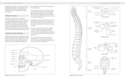 The Anatomy of Yoga Coloring Book: Learn the Form and Biomechanics of More than 50 Asanas