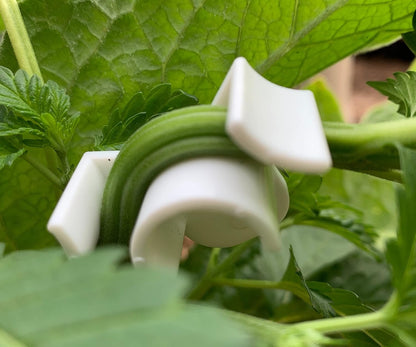 AirTech Home Automation Plant Training Clips, LST Clips for Low Stress Training Plant Stem Support, 90 Degree Angle Plant Clips, Made in California USA, 30pk White