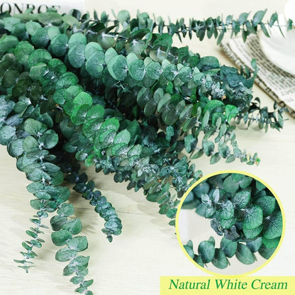 30 PCS Real Dried Eucalyptus Plant Large Stems for Shower, Natural Fresh Eucalyptus Leaves,17'' Hanging Eucalyptus for Self-Care Shower Leaves Bundle, Arrangement, Wedding, Home Decor