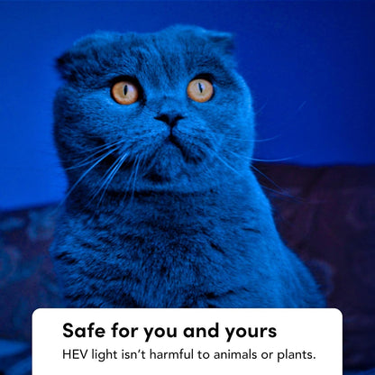 LIFX Clean A60 1200 lumens [E27 Edison Screw], Full Colour with Antibacterial HEV, Wi-Fi Smart LED Light Bulb, No bridge required, Compatible with Alexa, Hey Google, HomeKit and Siri.