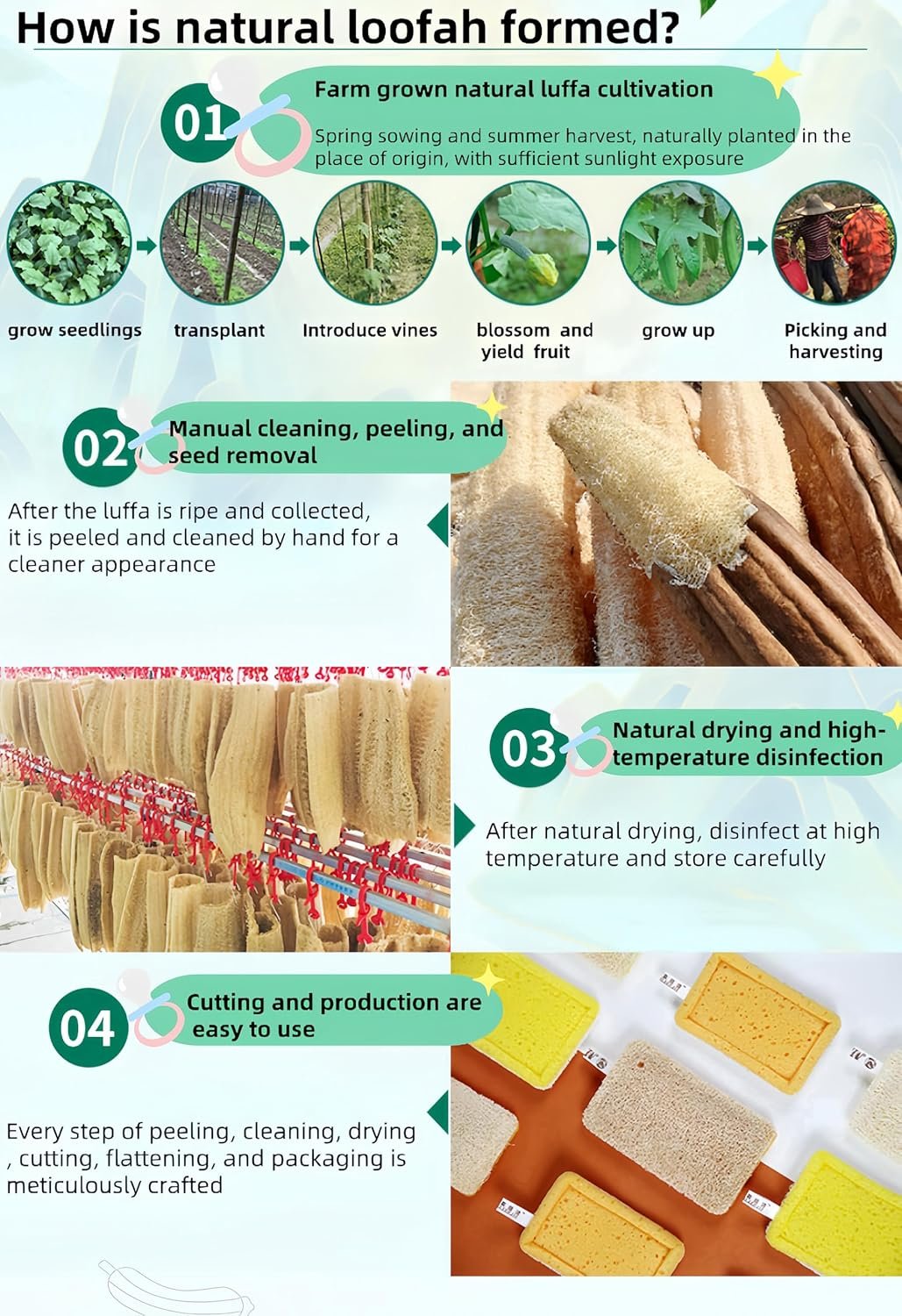 Natural Loofah Sponges for Dishes,Loofah Kitchen Scrubber,Odor-Free Biodegradable, Eco Friendly Dishwashing Sponge Natural for Kitchen Cleaning and Scrubbing(2Pcs) (Rotundity)