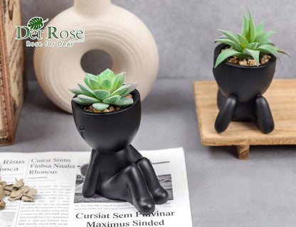 Der Rose Set of 2 Fake Plants Artificial Succulent Plants for Office Desk Accessories Black Bathroom Home Room Aesthetic Shelf Decor Indoor