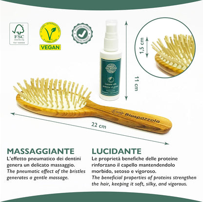 ONWOOD - Massage Brush in Ash Wood with Shine Lotion, Suitable for All Hair Types, Counteracts Hair Loss