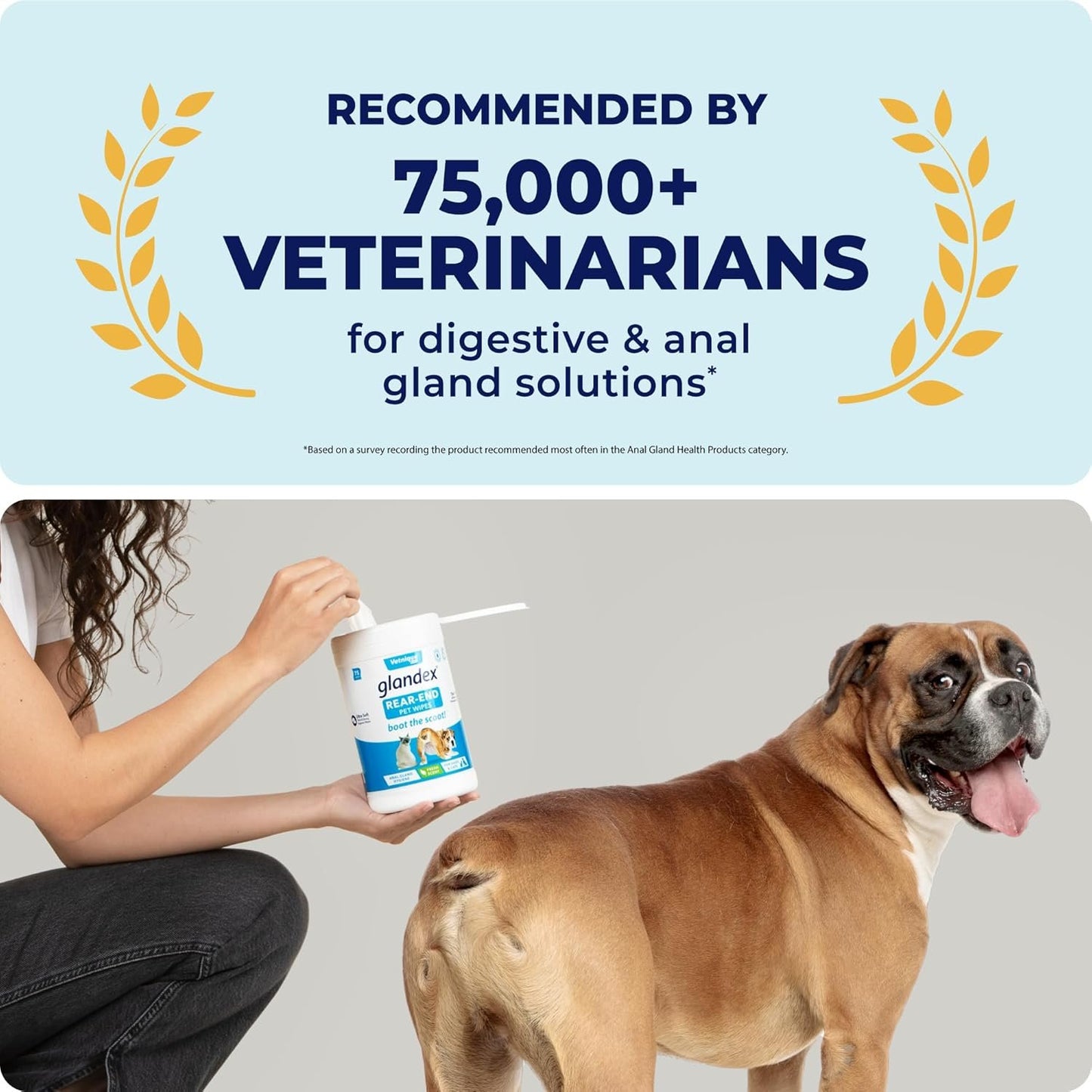 Glandex Dog Wipes Cleansing & Deodorizing Hygienic Anal Gland Grooming Wipes for All Pets - by Vetnique Labs (100ct)