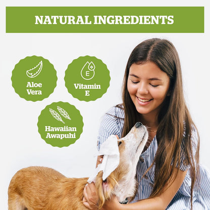 Pogi’s Dog Grooming Wipes Travel Packs – Fragrance-Free & Hypoallergenic Pet Wipes for Quick Cleaning of Paws, Body & Butt (240-Count)