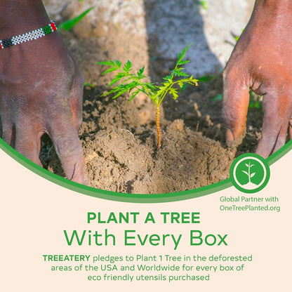 Treeatery - Compostable Cutlery Set, Plant-Based Disposable Utensils, Dishwasher-Safe Silverware, 380-Piece Set, Plant a Tree With Every Box, Ivory White