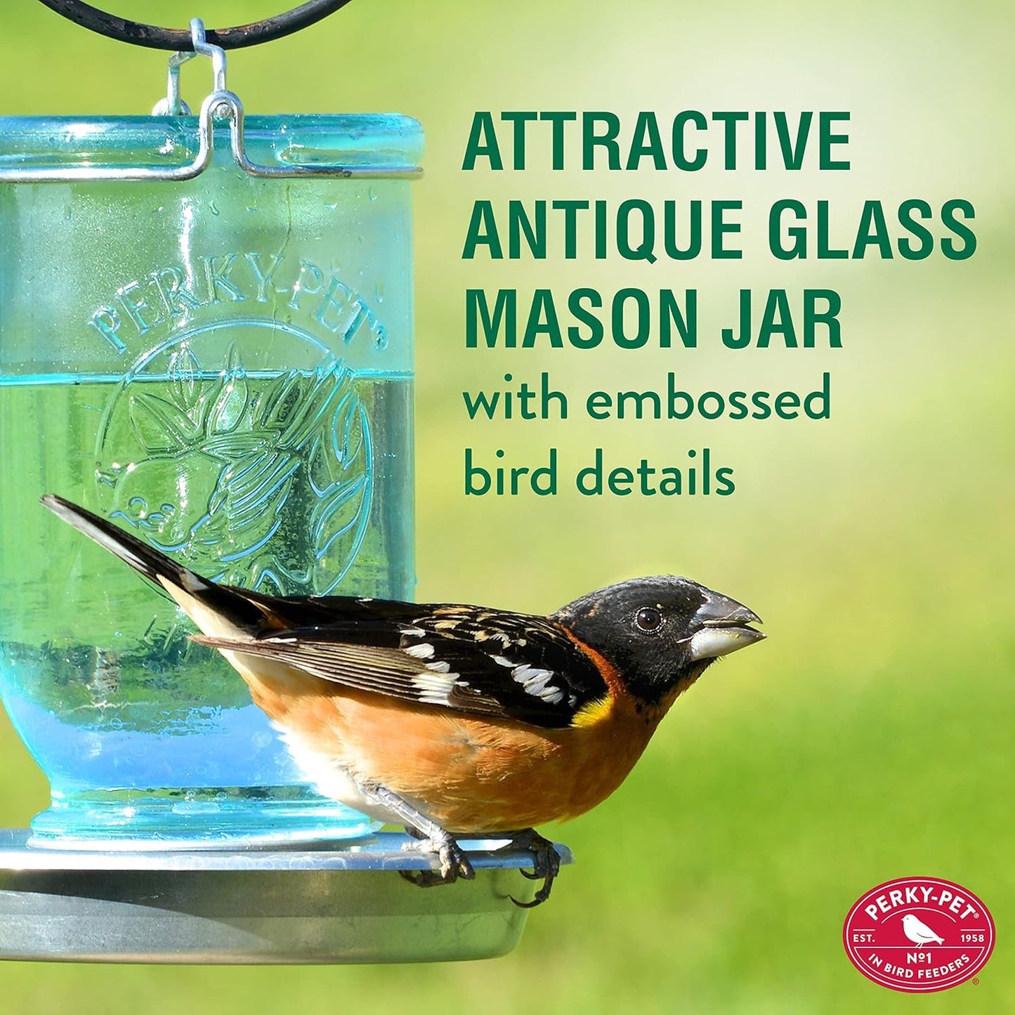 Perky-Pet Mason Jar Wild Bird Waterer 783, Blue