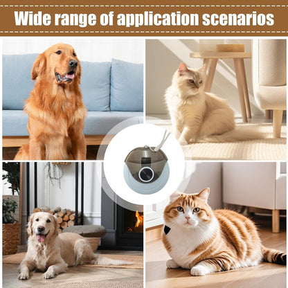 Spazzola per capelli per cani, con tacco, spazzola per capelli per cani, forfora, pettine multifunzione per animali domestici, attrezzi per la cura dei cuccioli per gatti