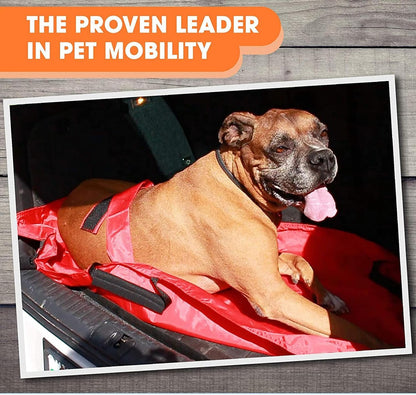 Pet Stretcher, Transport Stretcher Puppy, Multifunzionale Foldable Transfer Tool, Built-in Safety Strap, Lightweight Rescue Sling for Medium Large Bunny Cat Emergencies Care