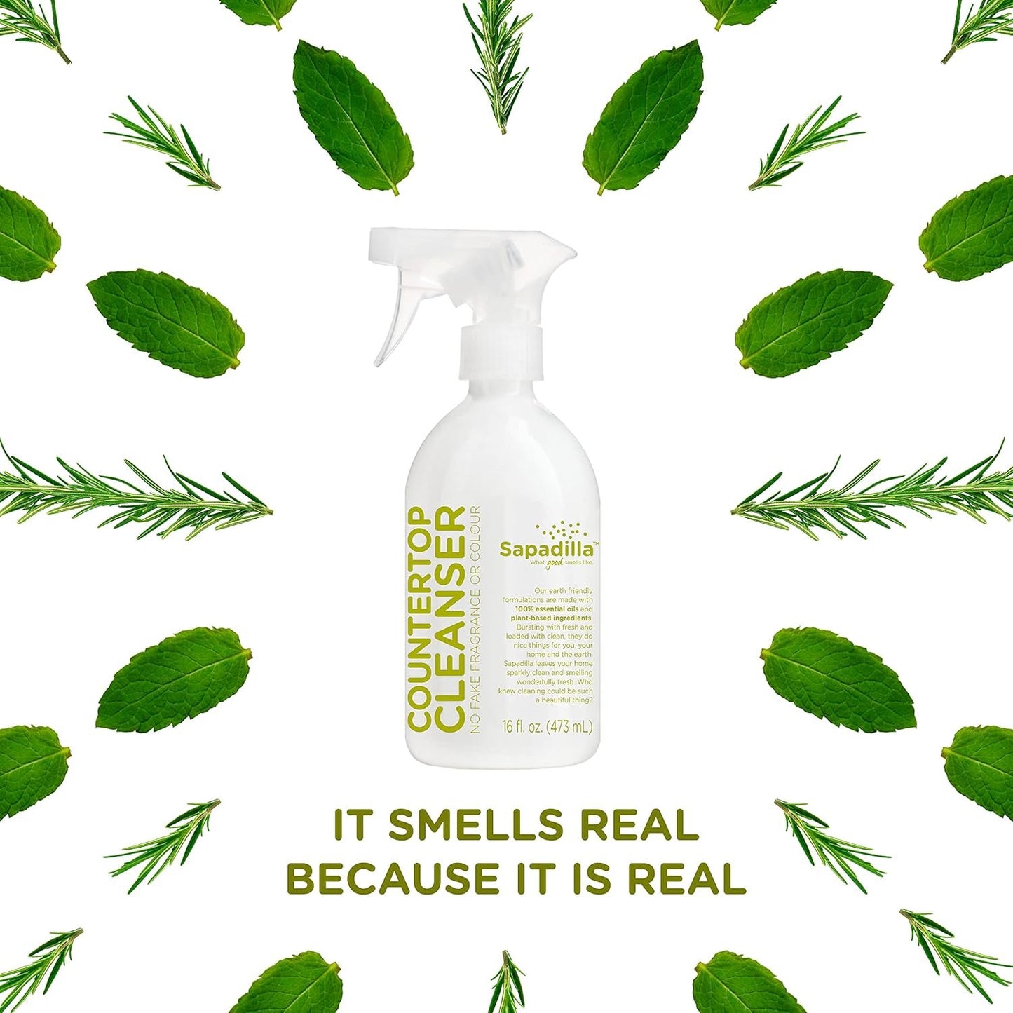 Sapadilla Multi-Surface Countertop Spray - Rosemary + Peppermint - Made with 100% Pure Essential Oil Blends, Multi-Purpose Household Cleaner, Aromatic, Plant Based, Biodegradable, 16 Ounce (Pack of 1)