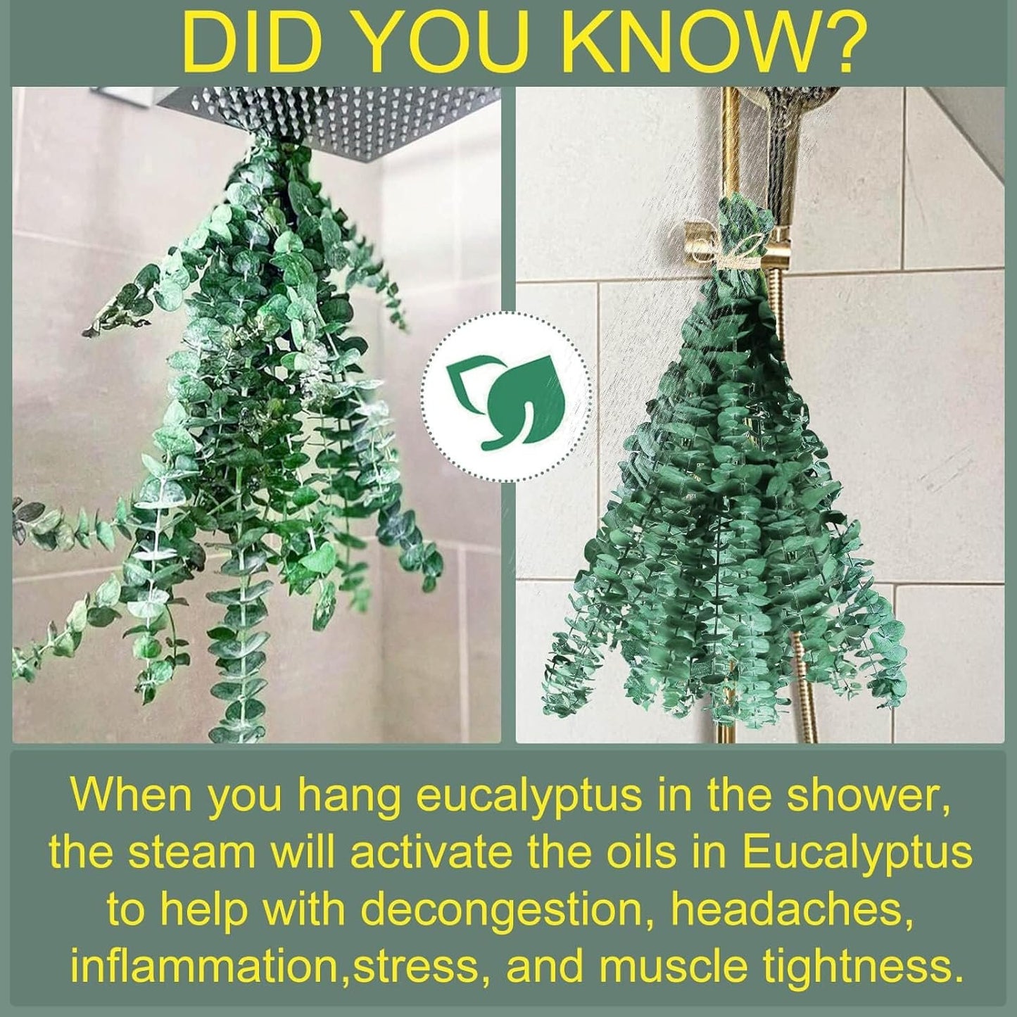 30 PCS Real Dried Eucalyptus Plant Large Stems for Shower, Natural Fresh Eucalyptus Leaves,17'' Hanging Eucalyptus for Self-Care Shower Leaves Bundle, Arrangement, Wedding, Home Decor