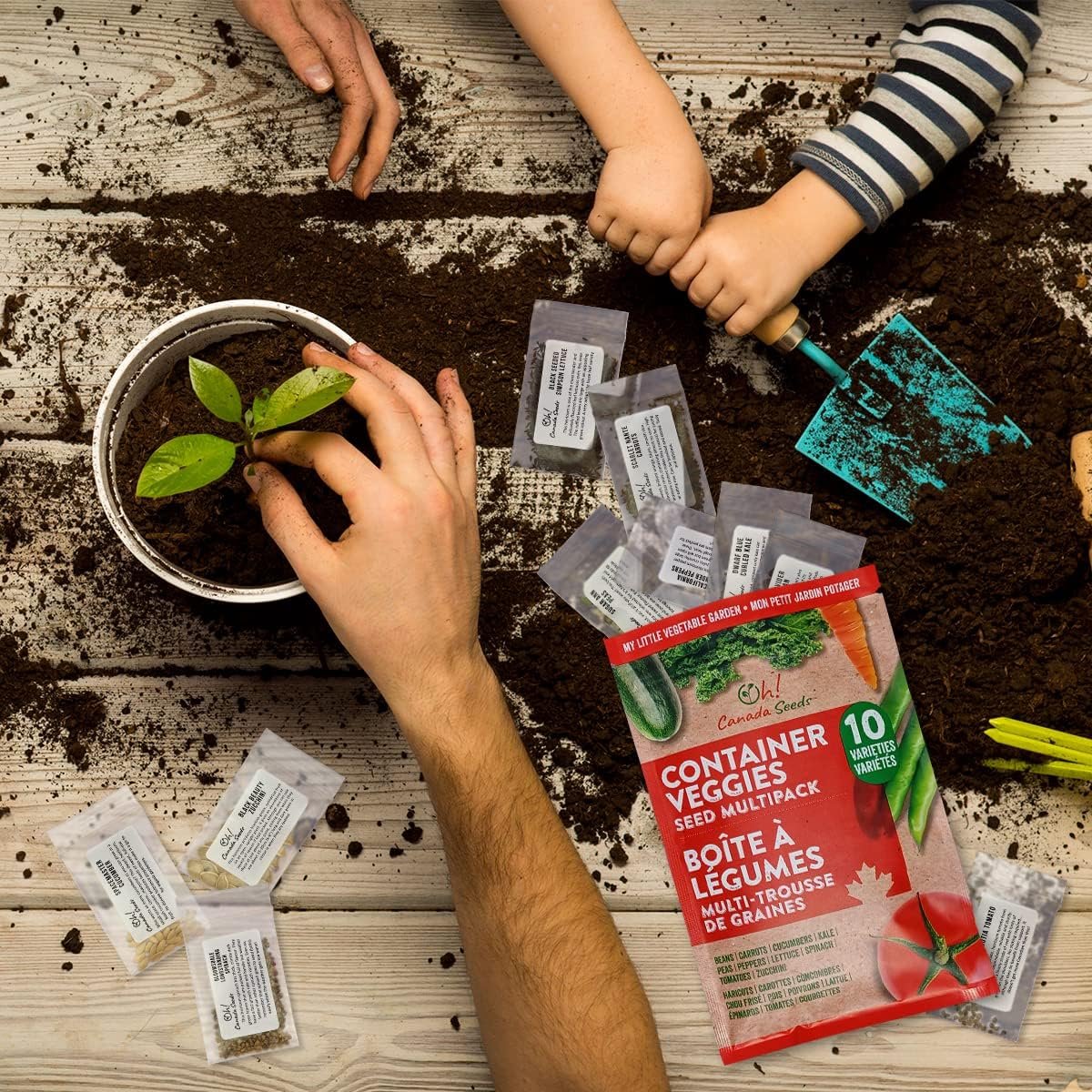 10 Heirloom Vegetable Seed Varieties – Seeds for Planting in Canada, Home and Survival Garden Plant Seeds, Graines de Jardin Canadian Variety Pack Kit