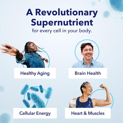 TRU NIAGEN Patented NAD+ Supplement for Anti Aging and Cell Regeneration, 300 mg Niagen, 30 Servings | Supports Cellular Energy, Brain, Muscle | Nicotinamide Riboside (NR) Take 1 Daily | 1 Bottle