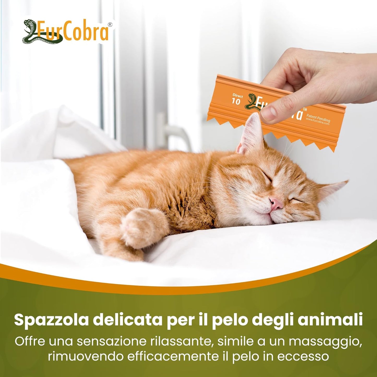 FurCobra Direct 10 Pet Grooming Brush 9cm - Gentle, No Metal Blades Brush Cats and Dogs - Portable, Easy to Use, Carder for Dogs and Cats