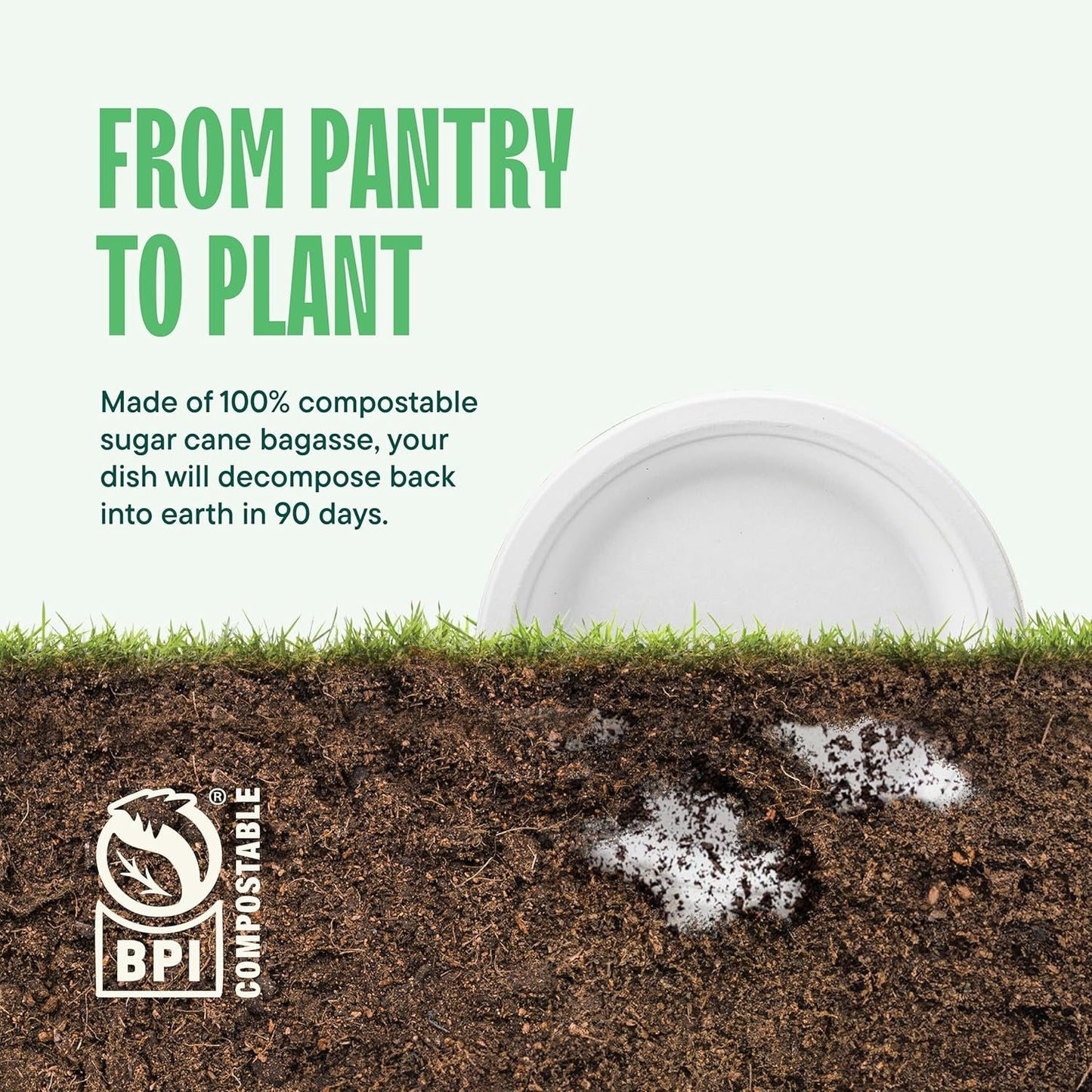 Paper Plates, Compostable Heavy Duty Disposable 10 Inch Dinner Plate - (125-Pack])- (PFAS-Free) - (BPI Certified)-Eco-Friendly, Biodegradable White Bagasse 10" Plates