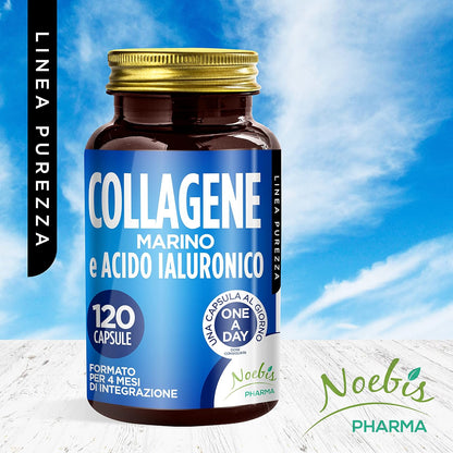 Marine Collagen and Hyaluronic Acid: Supplement for Skin, Bones and Joints | 120 Capsules - 4 Months Supply