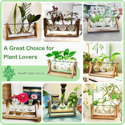 Ivolador Desktop Glass Plants Terrariums Bulb Vase with Retro Solid Wooden Stand and Metal Swivel Holder for Hydroponics Plants Home Garden Wedding Decor Indoor Outdoor (3 Bulb Vase)