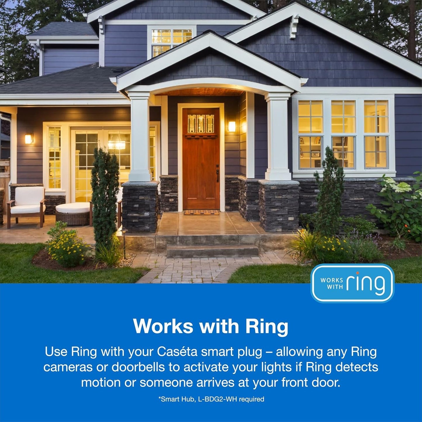 Lutron Outdoor Smart Plug For Caseta Smart Lighting, for Summer Lights, Patio Lights, Backyard Lights, Outdoor Lights, and Motors, 15A LED Fixtures & 1/2 HP Motors, PD-15OUT-BL, Black