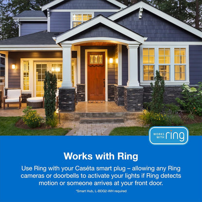 Lutron Outdoor Smart Plug For Caseta Smart Lighting, for Summer Lights, Patio Lights, Backyard Lights, Outdoor Lights, and Motors, 15A LED Fixtures & 1/2 HP Motors, PD-15OUT-BL, Black