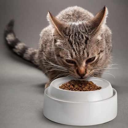 CatGuru Cat Bowls, Whisker Stress Free Cat Food Bowl, Reliefs Whisker Fatigue, Wide Cat Bowl, Non Slip Cat Food Bowls, Shallow Cat Dish, Cat Feeding & Watering Supplies (Ceramic, White)
