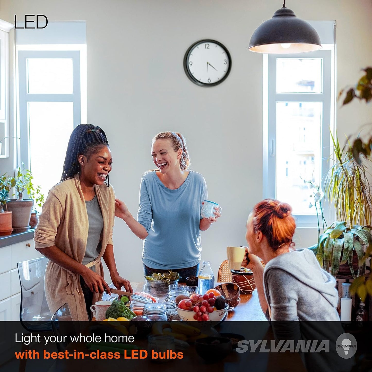 Sylvania Home Lighting 74766 60W Equivalent, LED Bulb, A19 Lamp, Efficient 8.5W, Bright White 5000K, 24 Pack, Piece